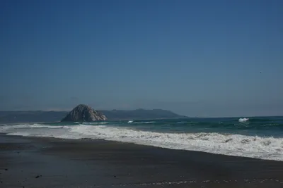 DSC_2530 (Large).JPG